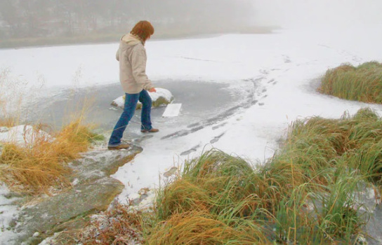 Чего нужно избегать в период становления льда.